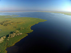 Lago Urema- Moçambique