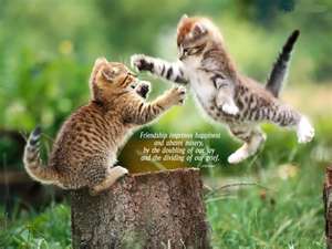 Quotes: Latest Friendship Quotes