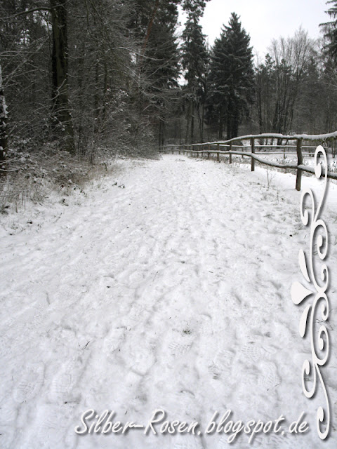 Silber Rosen Blogspot Com