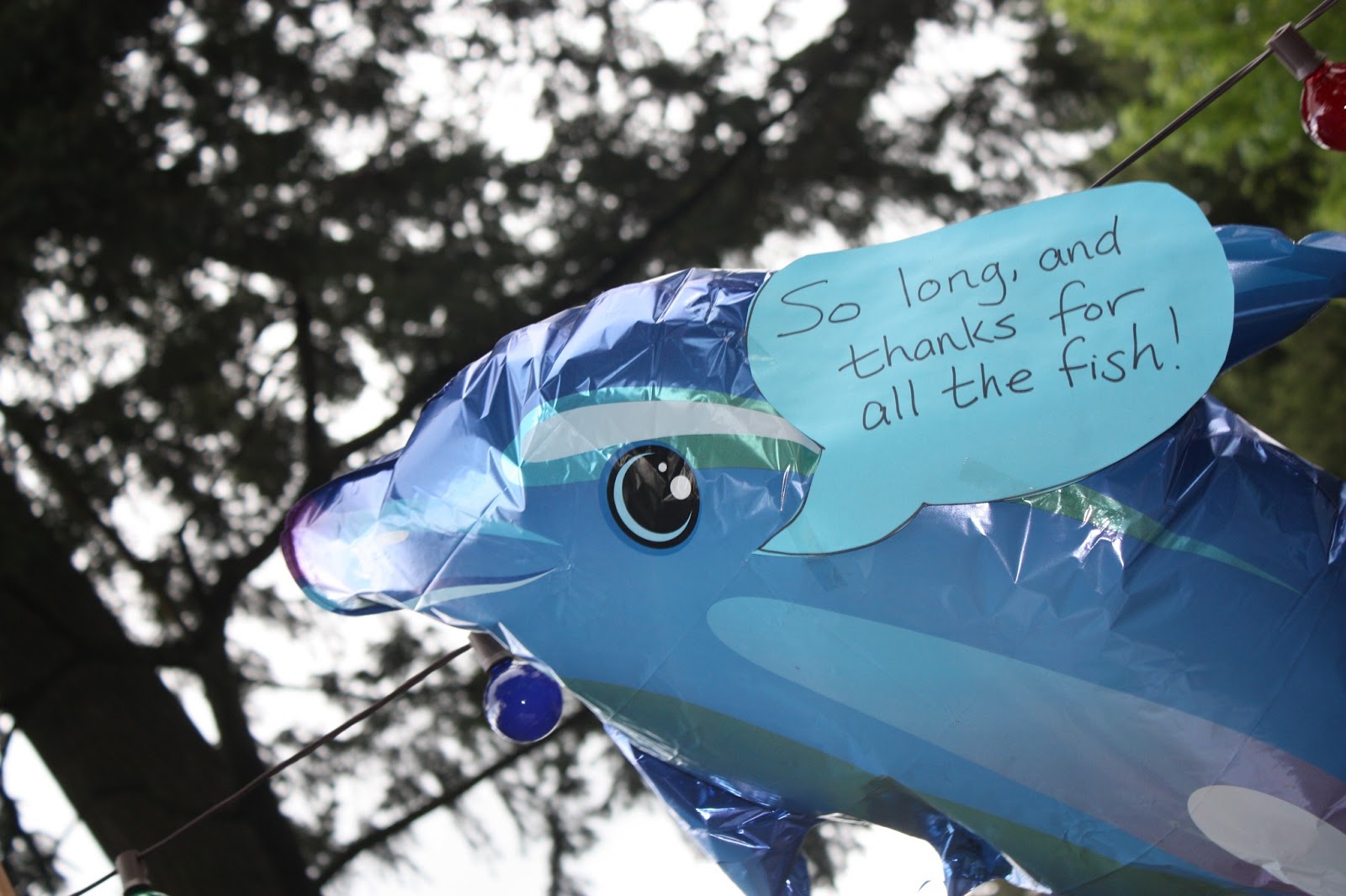 One Here One There Hitchhiker's Guide to a Birthday