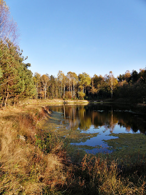 Dołhobrody