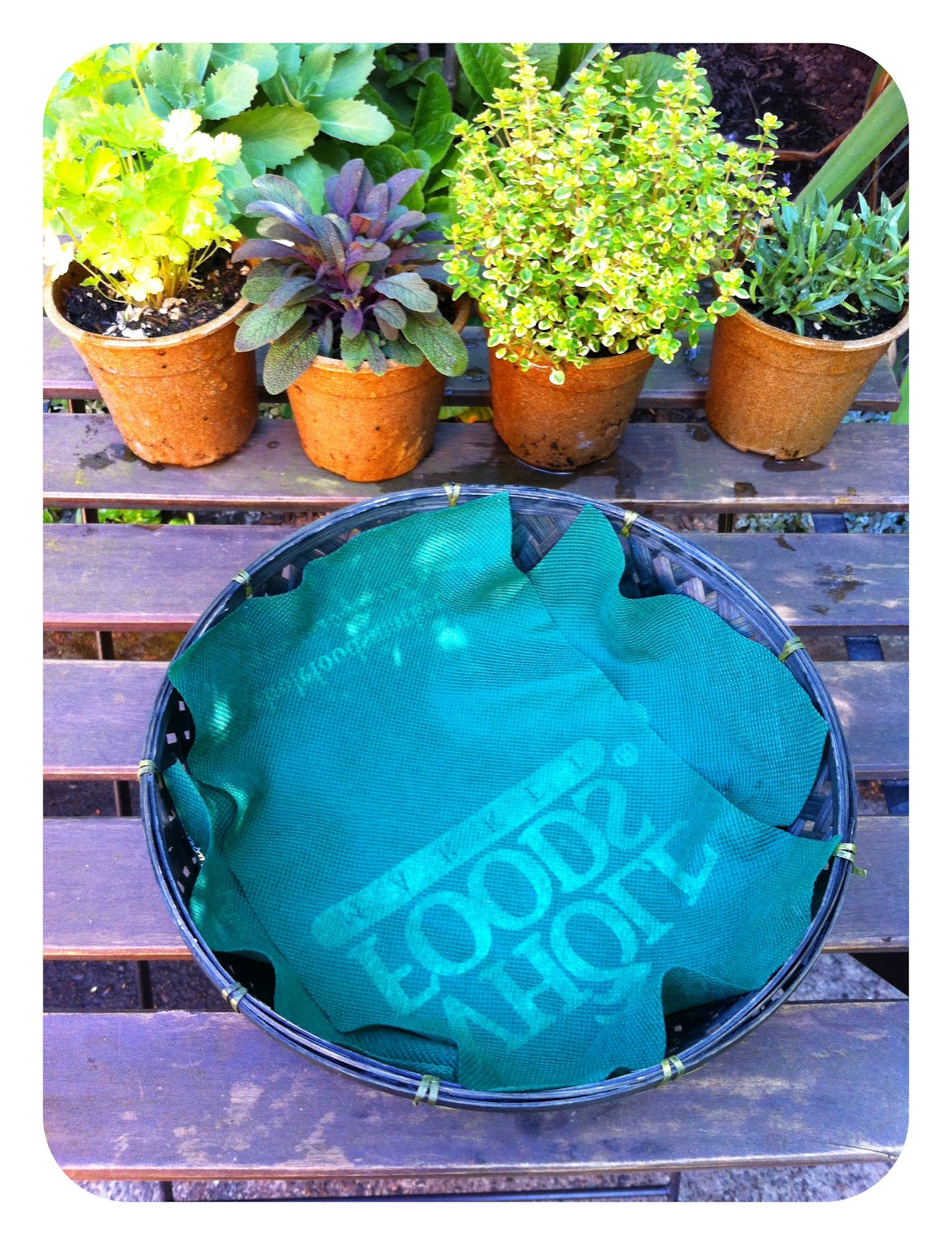 Bell and Star How To Make A Tabletop Herb Garden