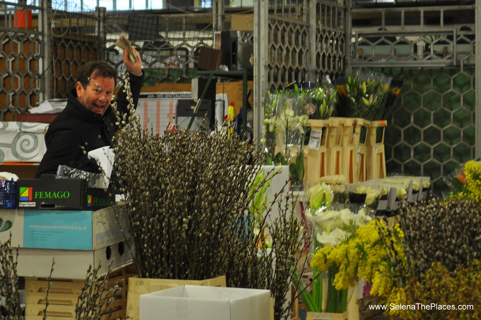 Oh, the places we will go!: New Covent Garden Flower Market