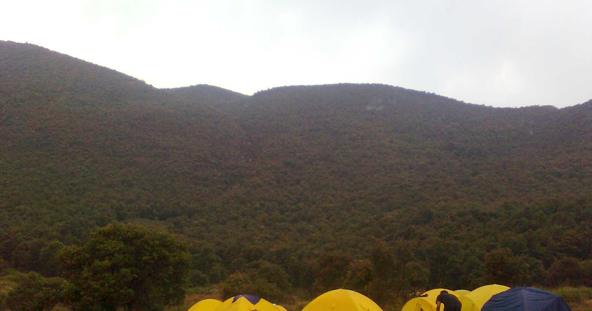 Mount Camp