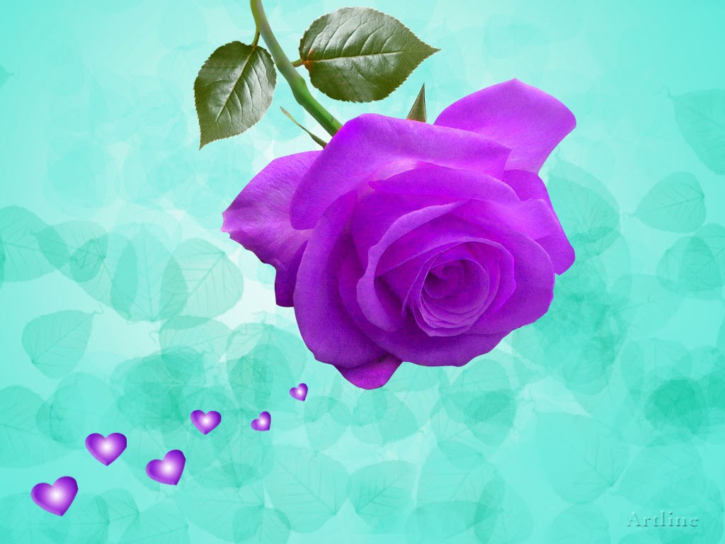 Purple Rose Wallpapers - keywords HERE