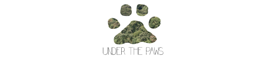 Under The Paws