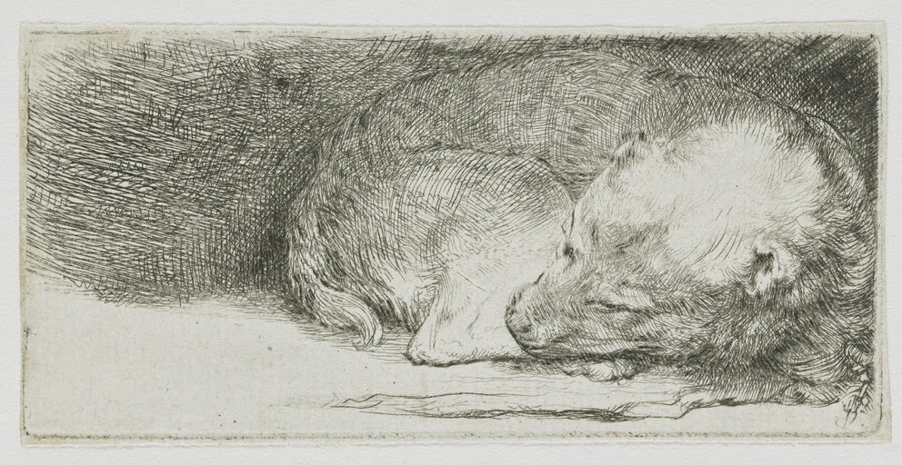Rembrandt essay