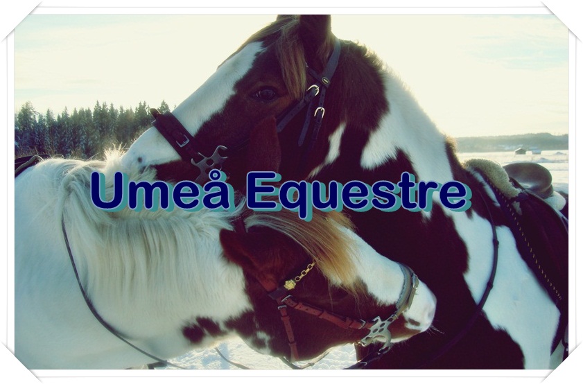 Umeå Equestre