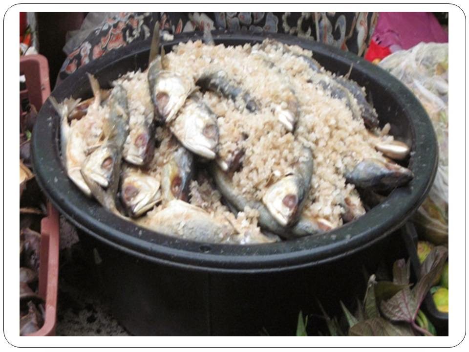 Blog Dr Niny Fariza Ikan Budu