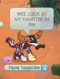 Animal Jam Adventures: Non Member Pet Glitch