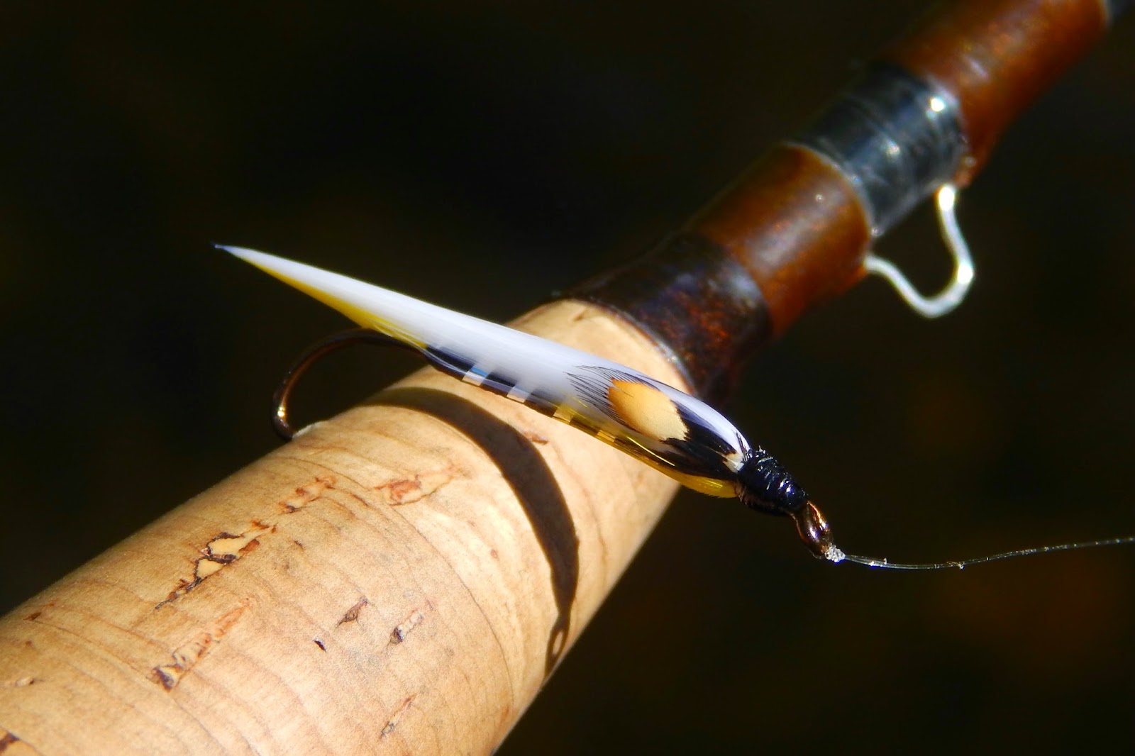 Small Stream Reflections The other "Black Ghost"