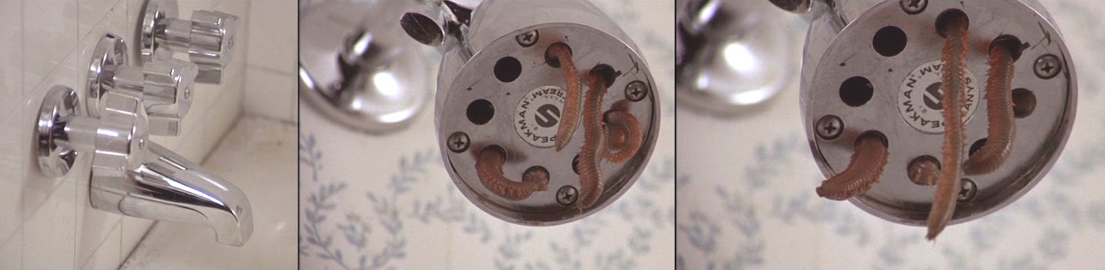 Groovy Doom Squirm 1976 When Things That Can T Kill