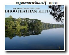 BHOOTHATHANKETTU DAM