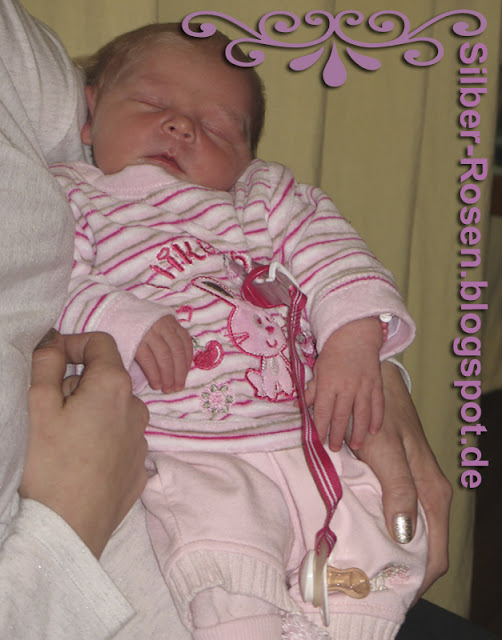 Silber Rosen Blogspot Com