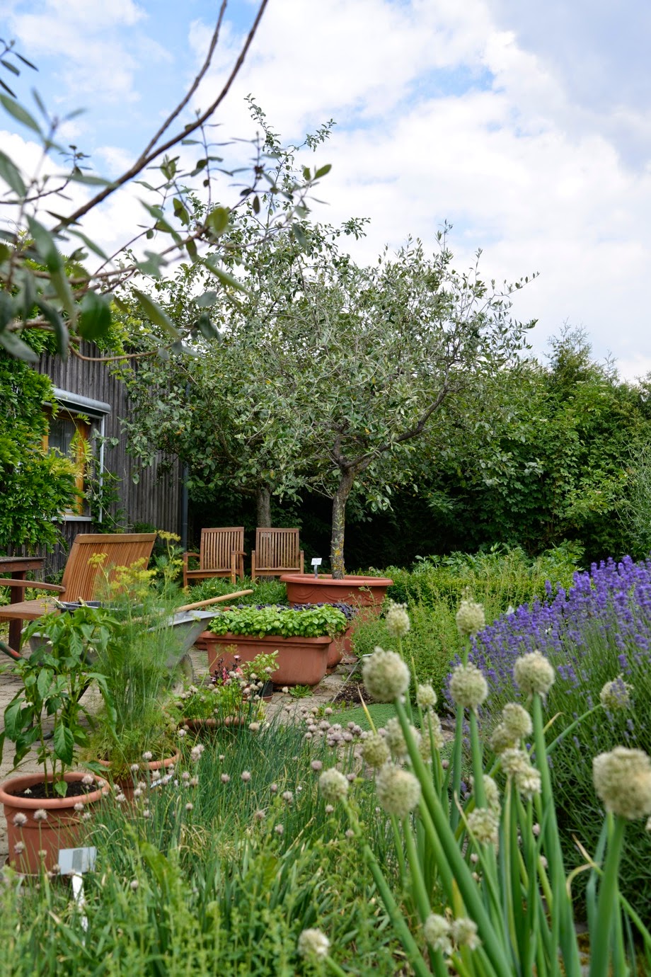 DYWYHSM A DAY AT THE WELEDA GARDEN