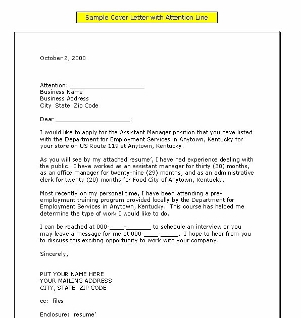 samples of covering letters for job applications