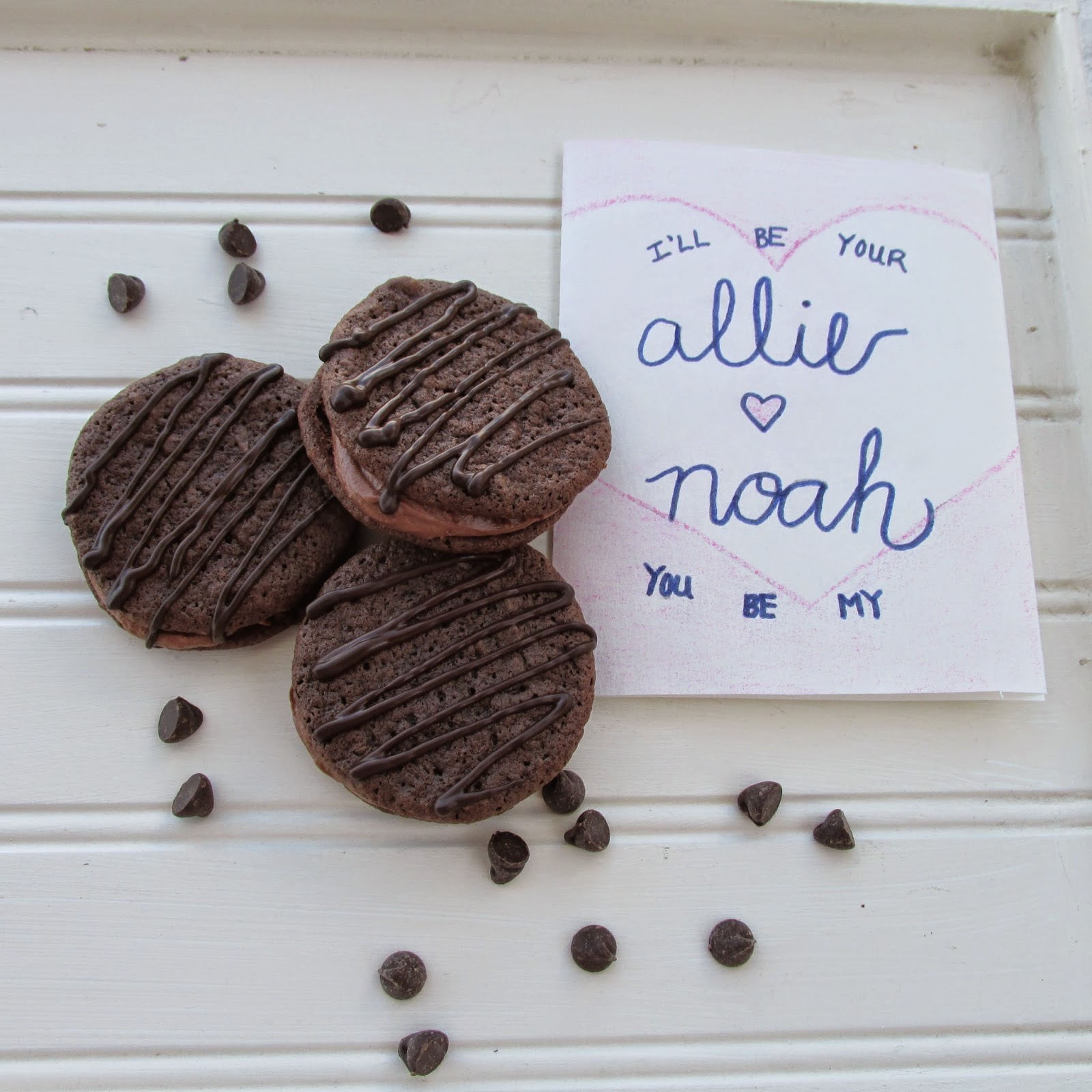 Raising Up Grace Homemade Fudge Rounds