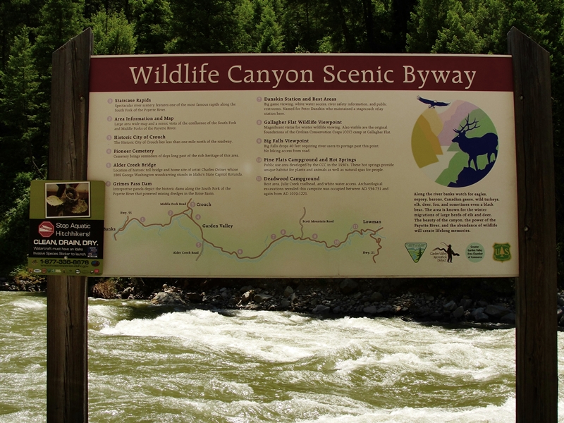 Idaho Travel Things To Do Idaho Vacation Wildlife Canyon Scenic Byway