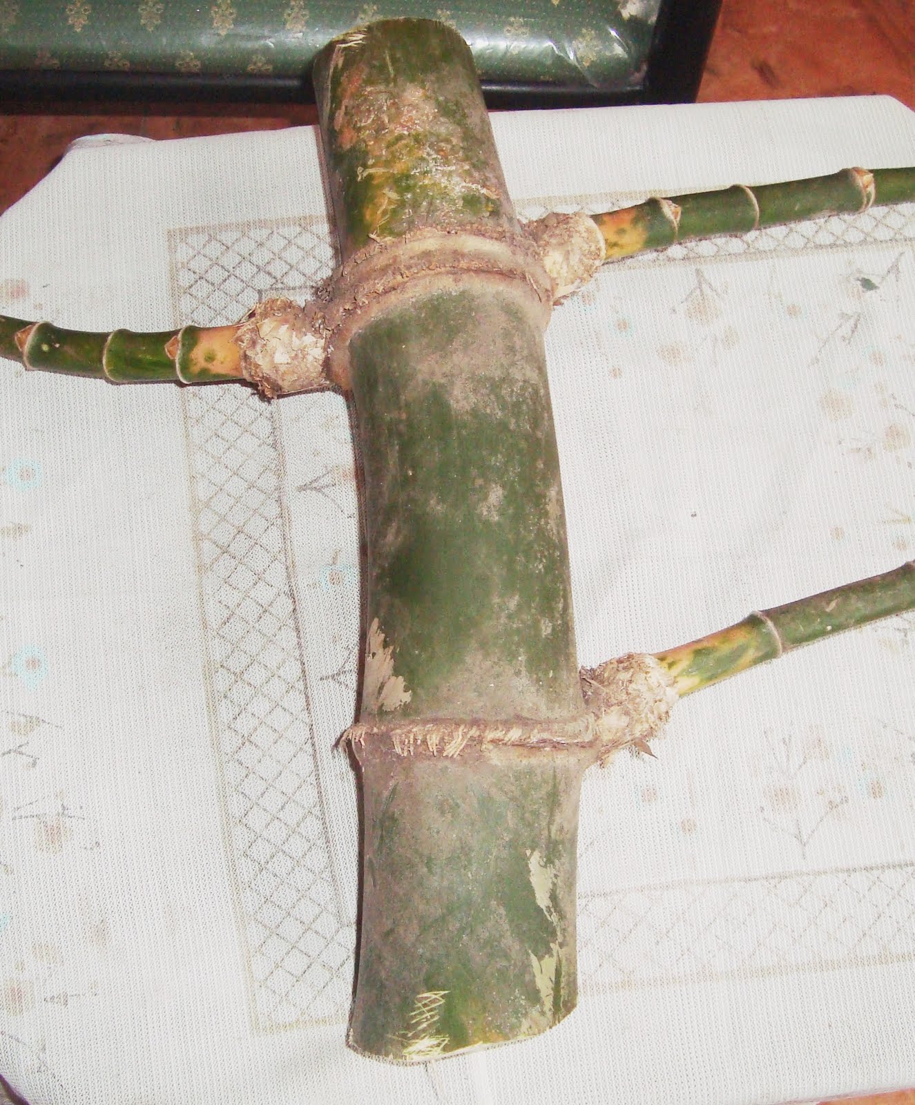 Lapak Barang Jadoel (LBJ) Bambu Patel Lele/ Temu Ros