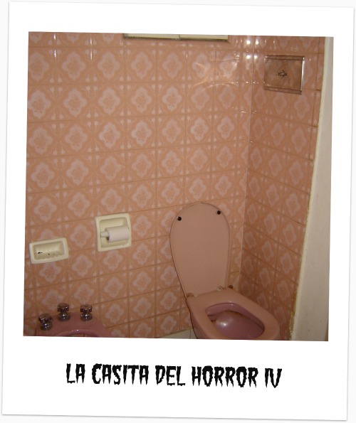 Cantando Victoria: Bye bye pink