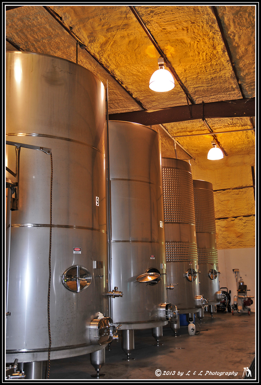 Ocala, Central Florida & Beyond Island Grove Winery