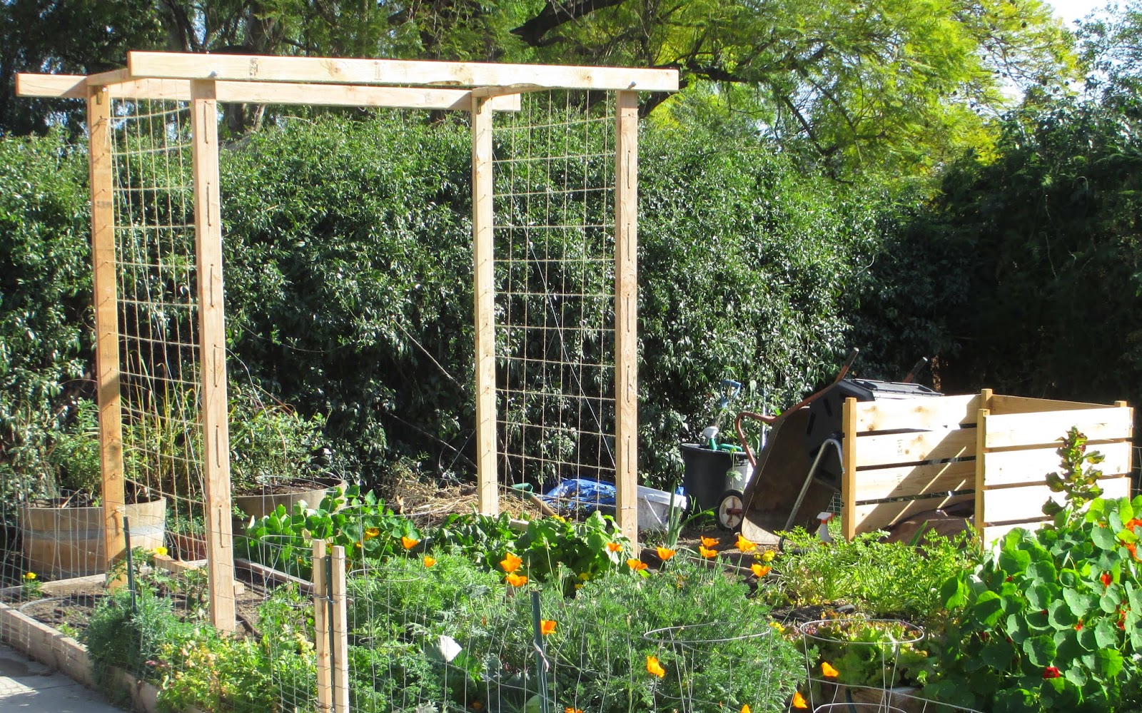 Andie's Way Trellis Ideas for Tomatoes, Cucumbers, Beans, Peas, Melons