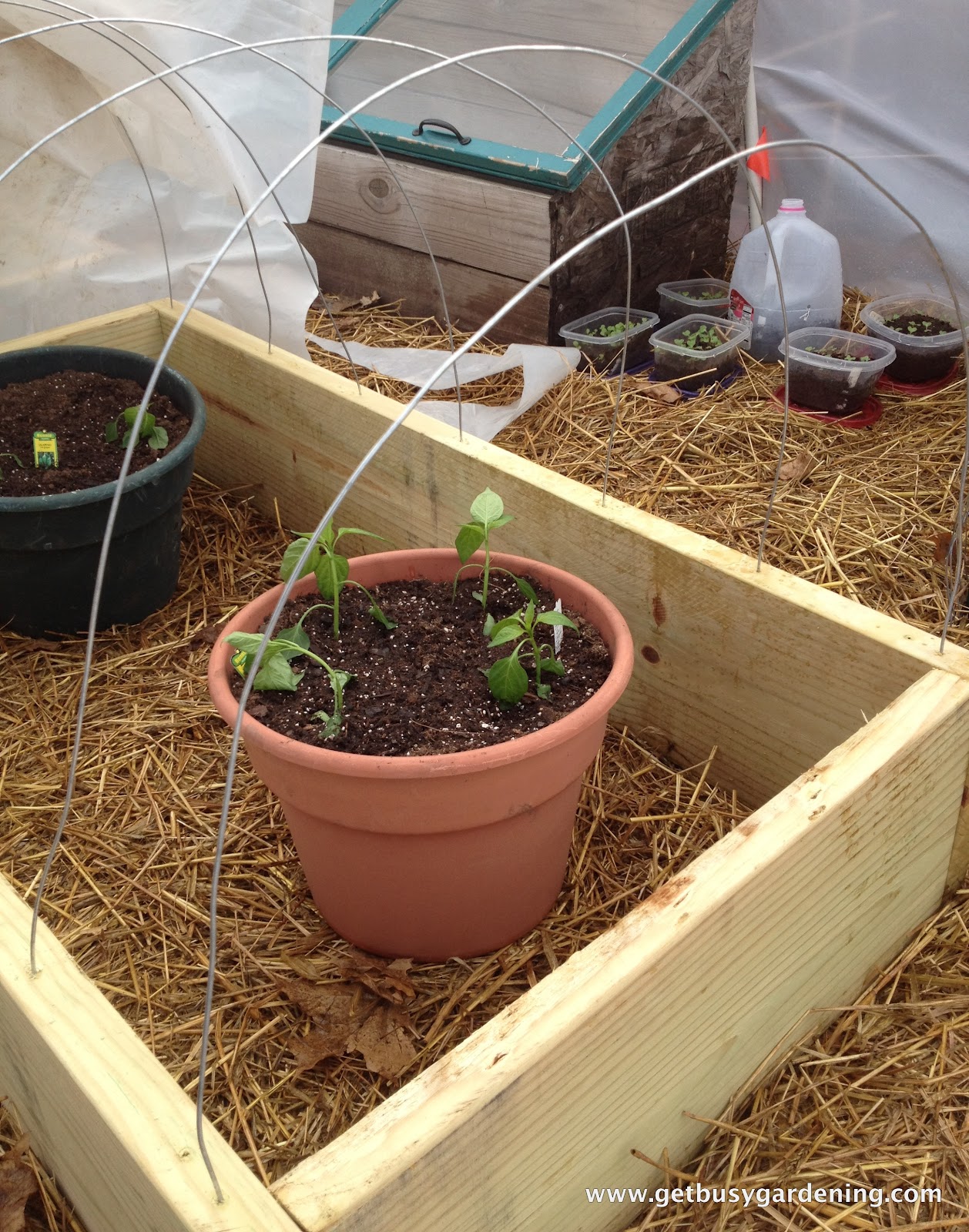 Raised Bed With Cold Frame Get Busy Gardening