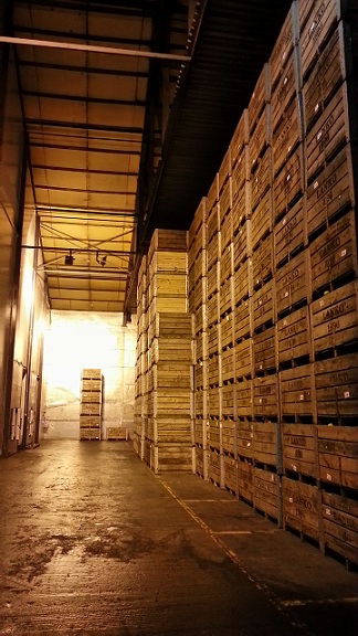 The Cooling Rooms Hold Between 1000 And 1700 Crates Are Sometimes Stacked Up To 10 High Special Permission Must Be Obtained For At OHSA The Cooling Rooms Hold Between 1000 And 1700 Crates Are Sometimes Stacked Up To 10 High Special Permission Must Be Obtained For At OHSA