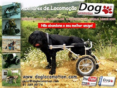 Dog Locomotion