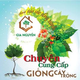 LIÊN KẾT VỚI CÂY XANH GIA NGUYỄN