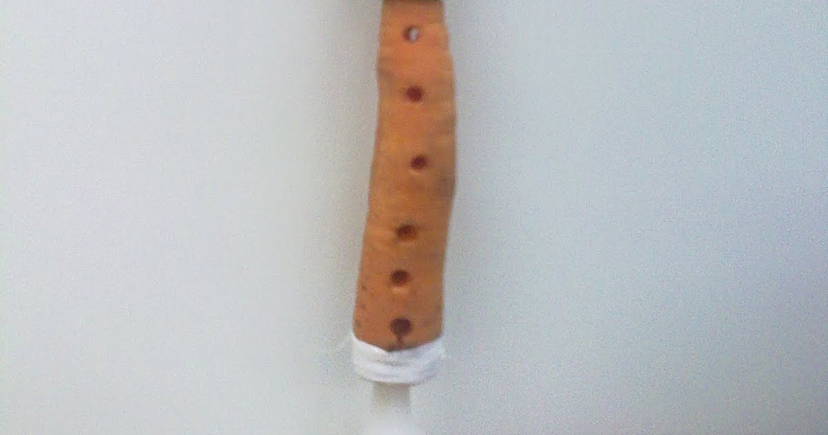 Blog de MÚSICA CEIP AlAndalus (Utrera) ZANAHORIAFLAUTA