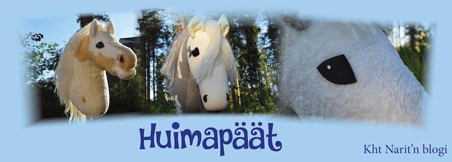 Huimapäät