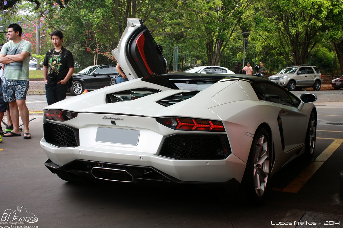 Bh Exotics Na Avenida Europa Bh Exotics