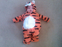 I'm a Tiger!