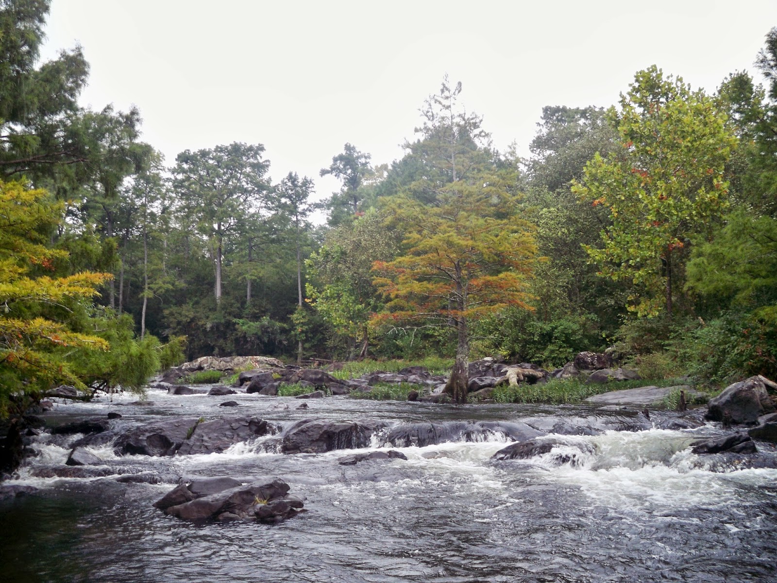 Let's Drink Coffee, Darling Beaver's Bend Camping & Kayaking
