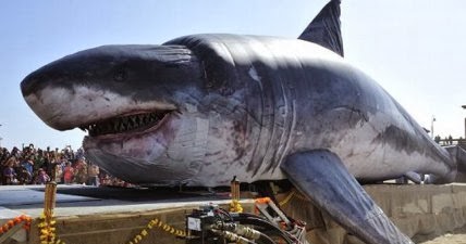 la vida de los animales 3: El megalodón