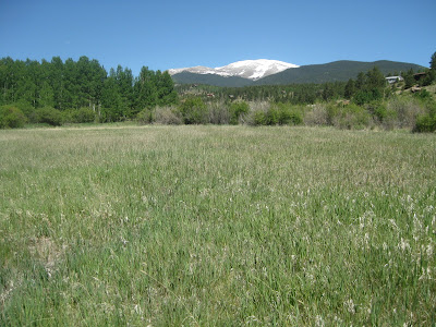 Homestead Pictures Thread.. - Homesteading Questions