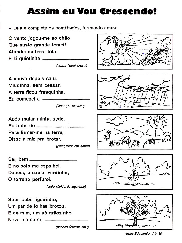 atividades alfabetizacao jardim horta pomar:Pedagógiccos: Desenvolvimento de uma planta atividades alfabetizacao jardim horta pomar:Pedagógiccos: Desenvolvimento de uma planta