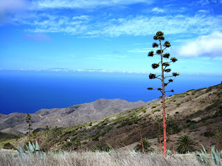 Por el mundo: agosto 2011