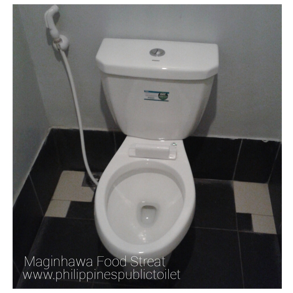 Philippines Public Toilet Chronicles