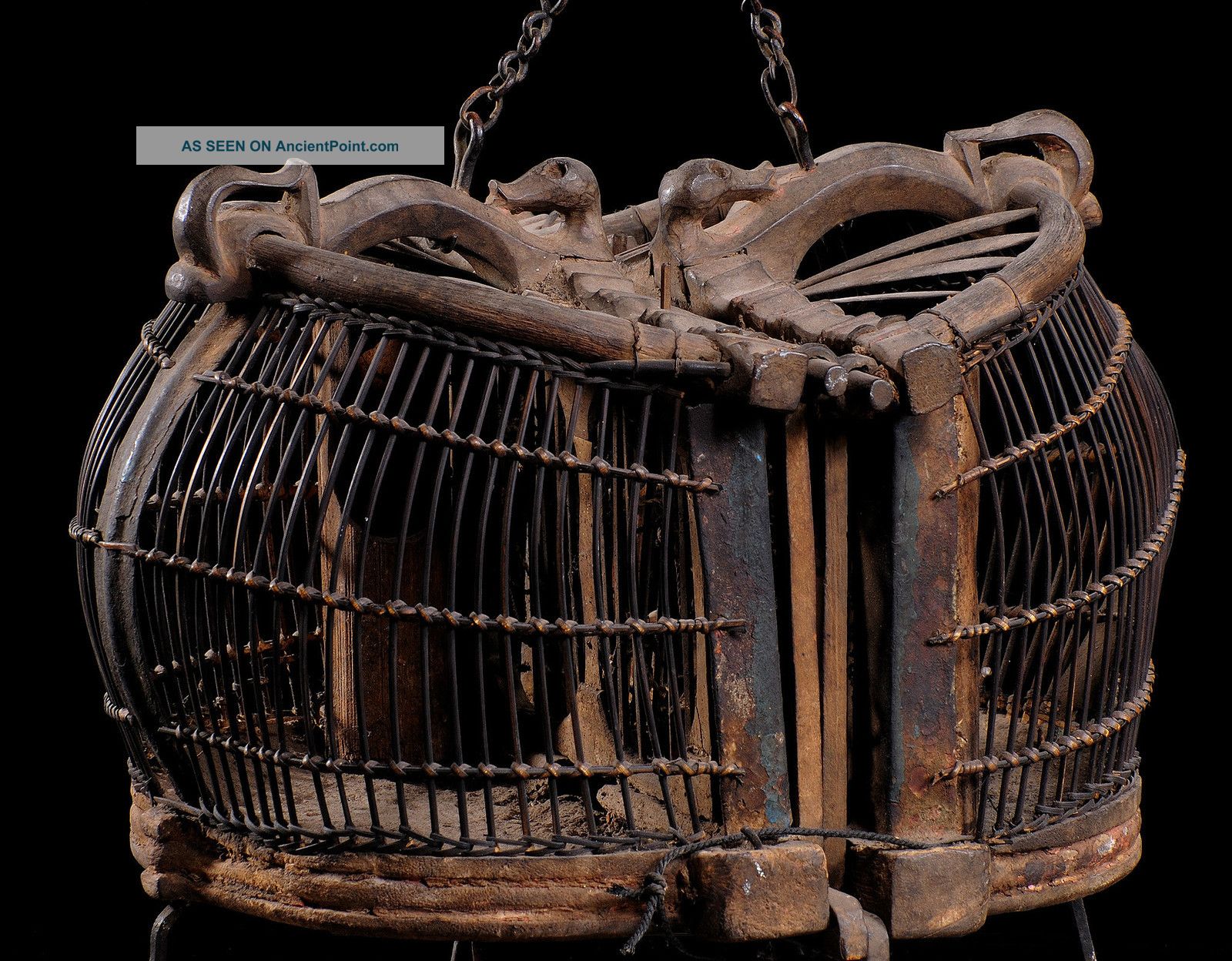 Pets That Rock A Prayer For The Wild At Heart Kept In Cages A History