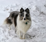 Paintbrush-Pafs Silverserande AKA The Princess