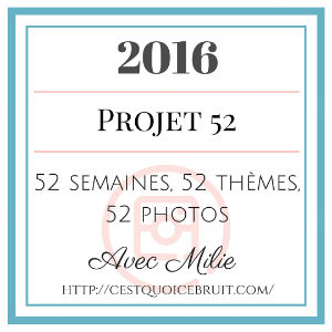 Projet 52 photos - 2016