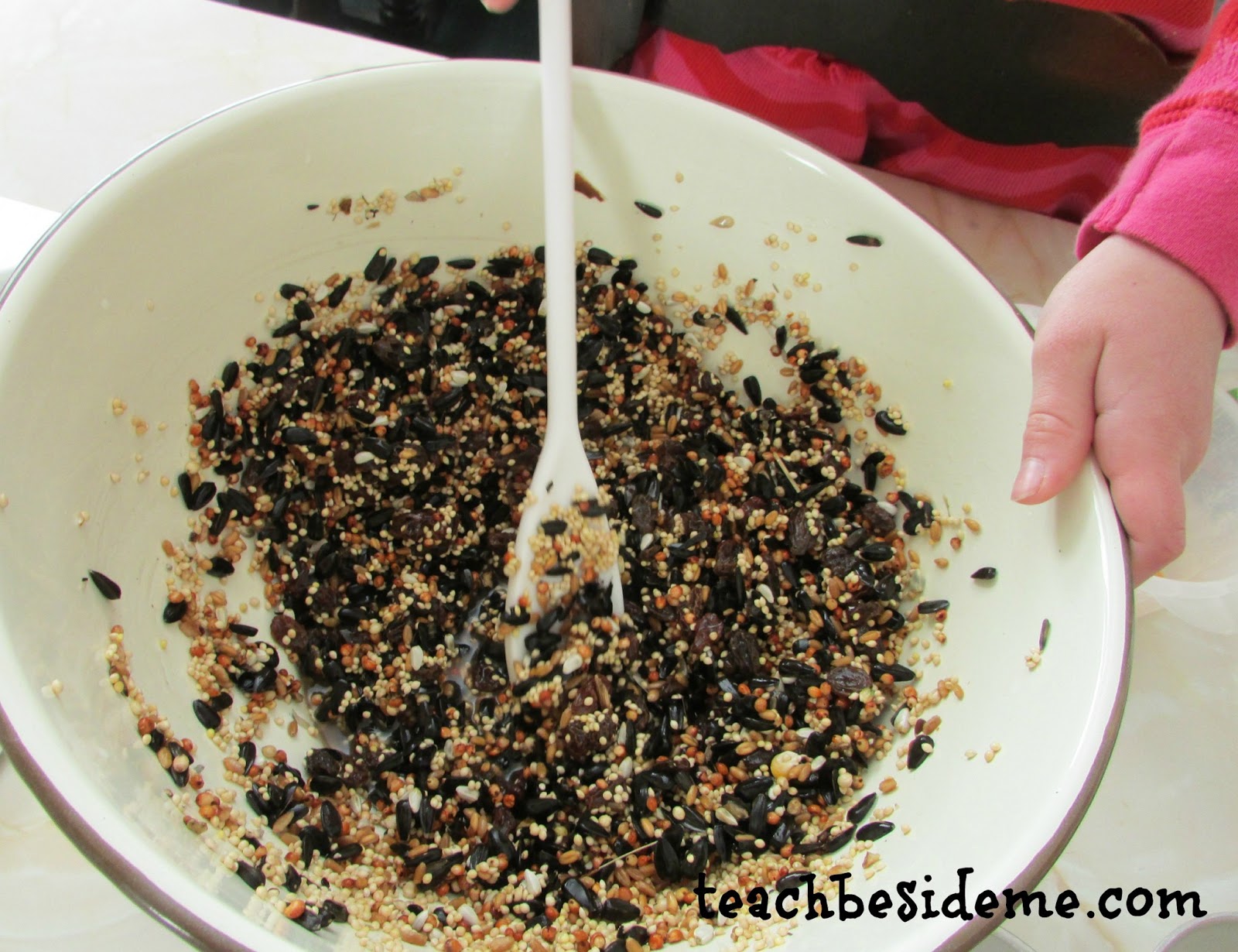Homemade Bird Feeders Without Peanut Butter Teach Beside Me