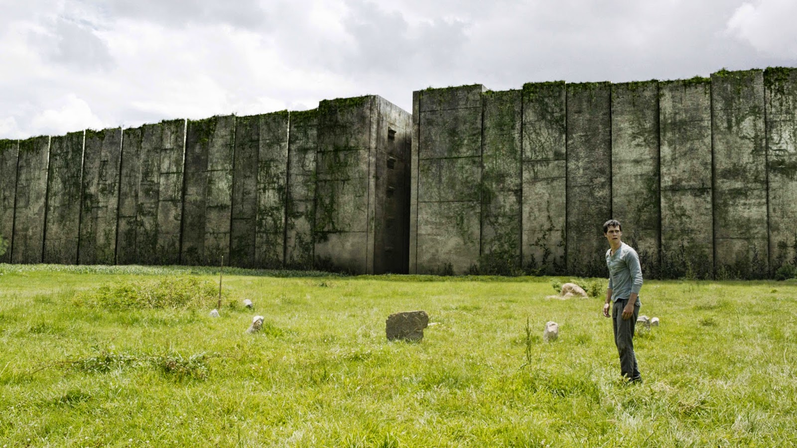 darwinarya The Maze Runner, Tikus Dalam Labirin