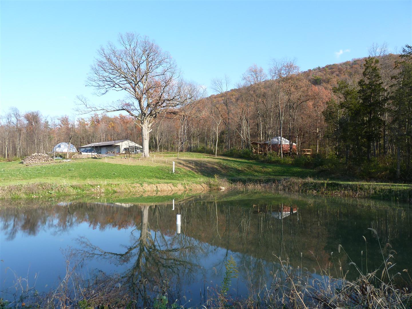 koi-pond-settlement-chamber-5.jpg