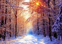 Итоги 149-й недели инвестирования в ПАММ-счета