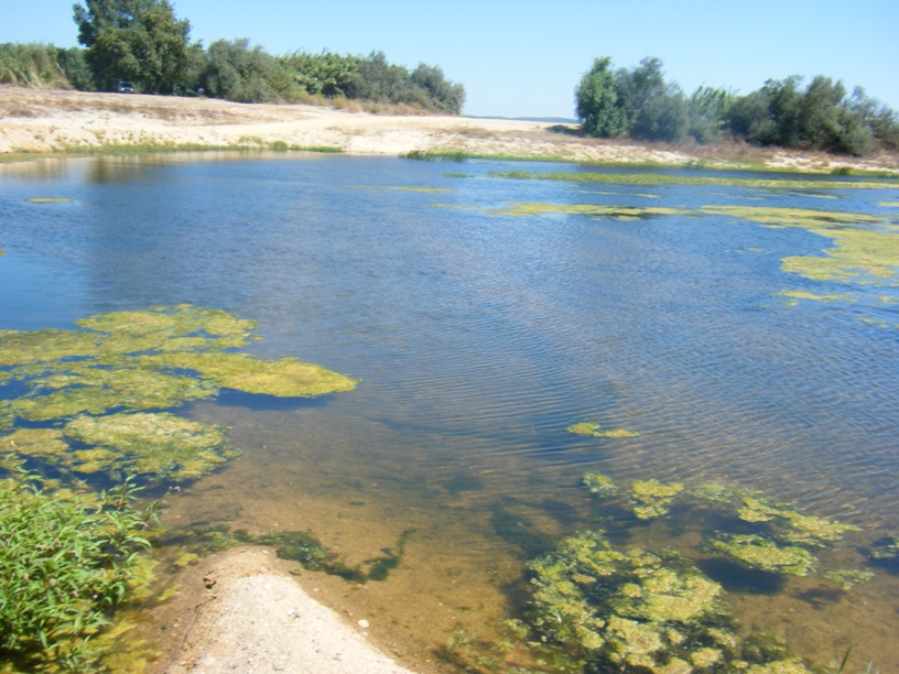 Água Lima do Rio Sorraia