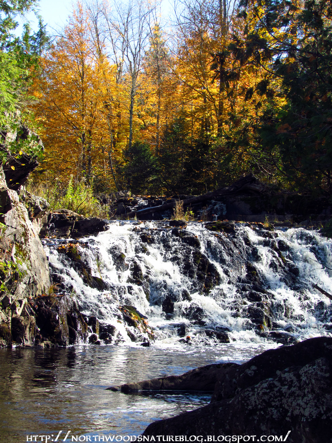 Northwoods Nature Blog More Upson Falls