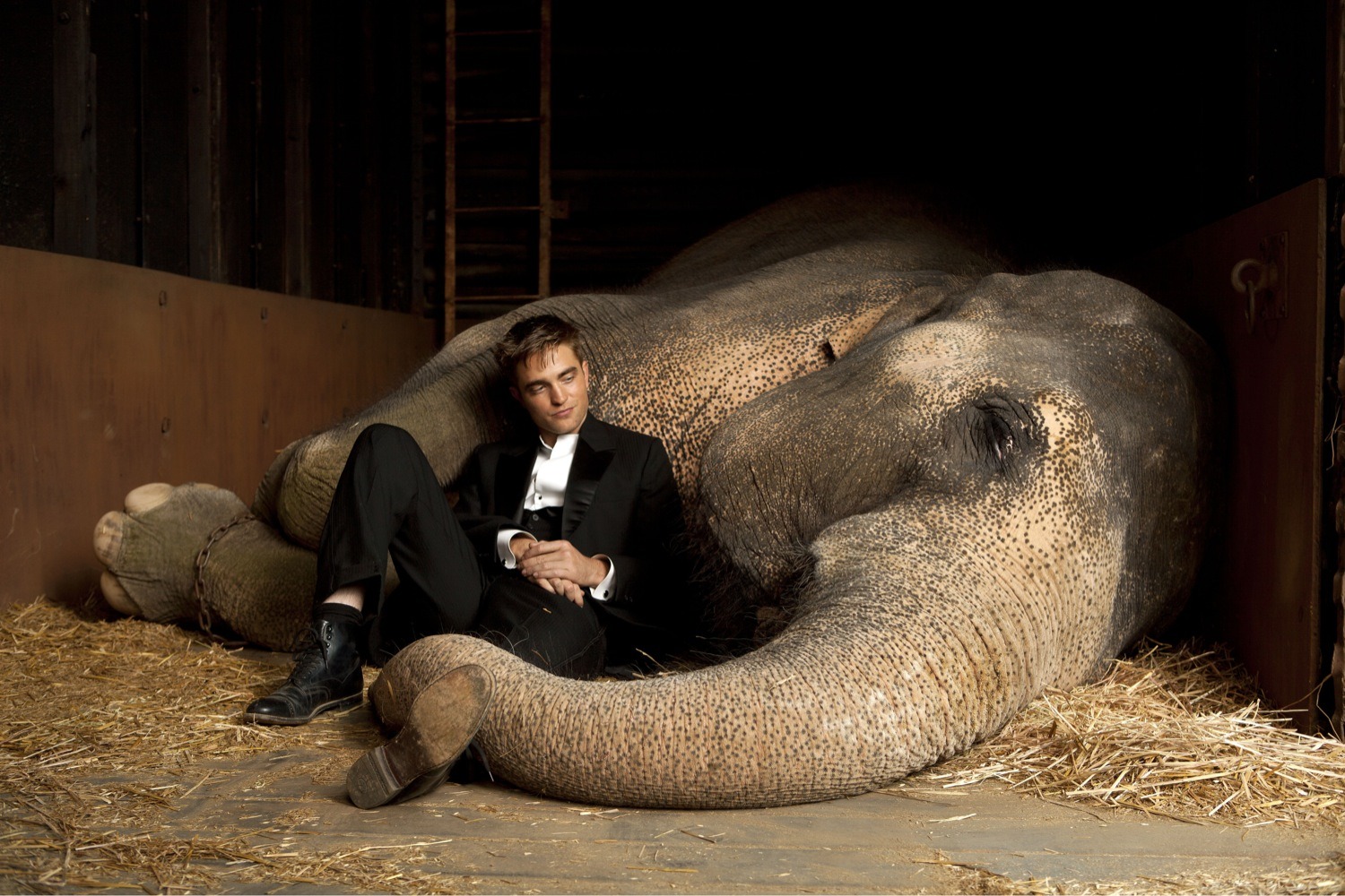 Light and Shadow Water for Elephants The movie